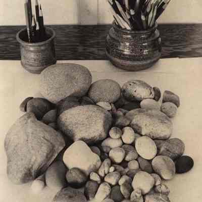A photo view of a collection of rocks. 3/29/1982.