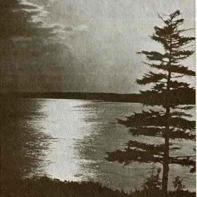 Bailey Island