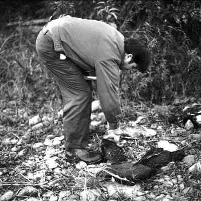 A photo view of duck hunting on Merrymeeting Bay. 10/1980.