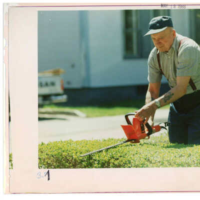 Unidentified man trimming a hedge