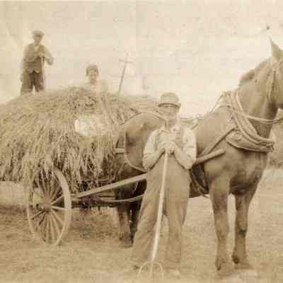 Arthur Jack Haying in Pejepscot