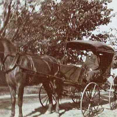 Horse and Buggy