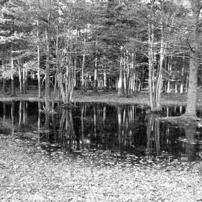 Linnhaven Park.
