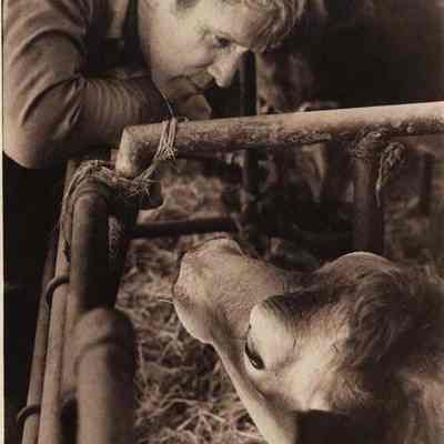 A photo view of Richard Wood.