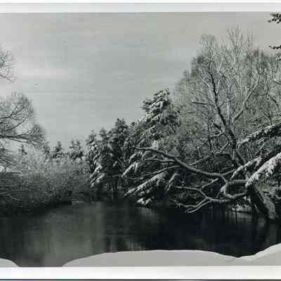 Stone's Pond