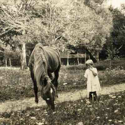 Little Girl and a Horse