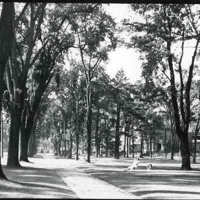 The Brunswick Mall