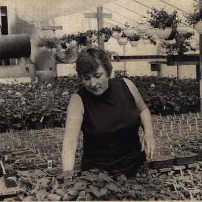 A photo view of Nancy Haley. 4/23/1981.