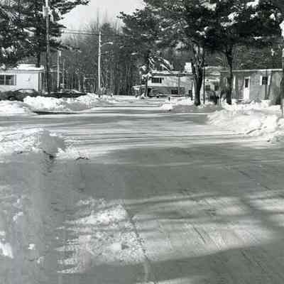 A snowy scene