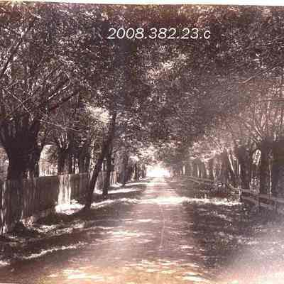 Woodlawn Road, Brunswick