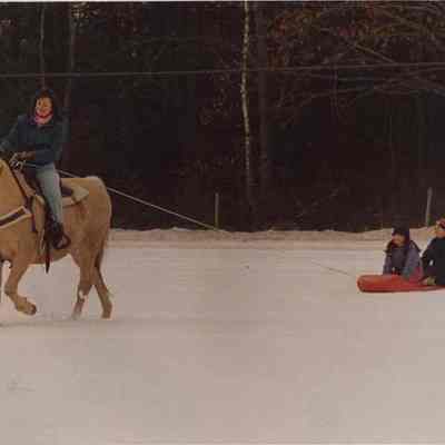 A photo view of horse pulling a toboggan. 12/29/1987.