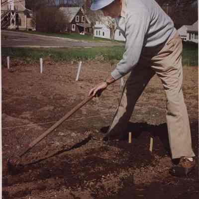 A photo view of Walter Cucci raking in his garden. 5/23/1988.
