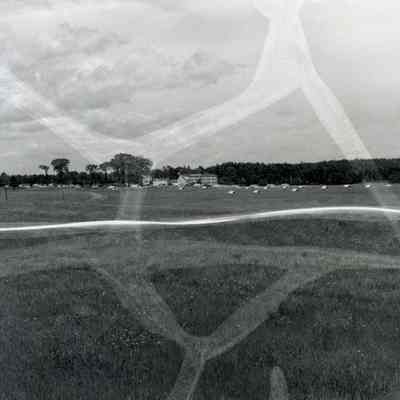 A photo of Coleman farms.