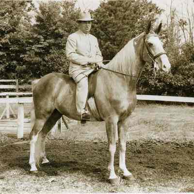 Henry Baribeau