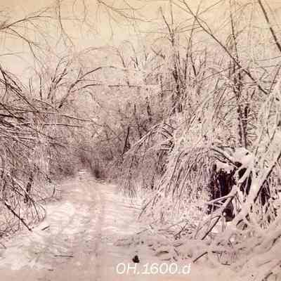 Ice Storm 1891