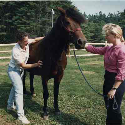 A photo view of two women working with a horse. 9/12/1991.