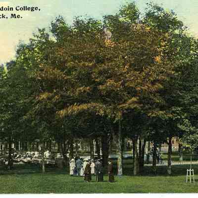 Bowdoin College Campus