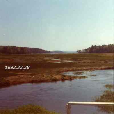 A photo of the Adams Road Marsh. Summer 1973.