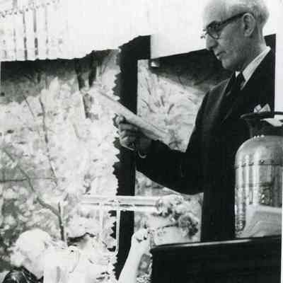 Bela Norton