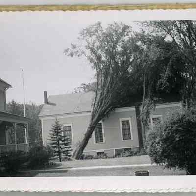 Hurricane of 1954, Town Hall, Topsham