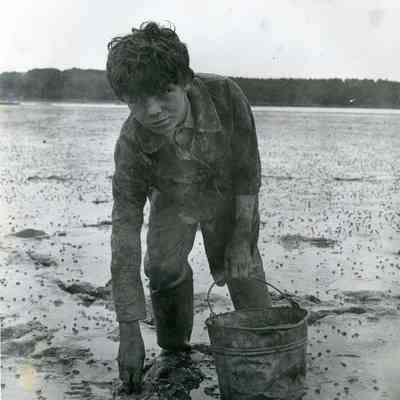 Young Boy Digging Quahogs