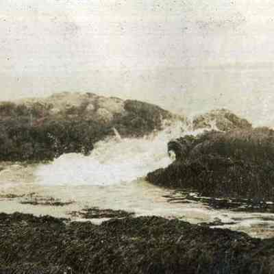 Shore Line