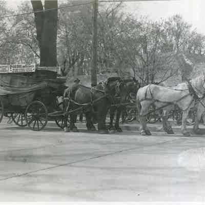 Brunswick Bicentennial Parade Stagecoach