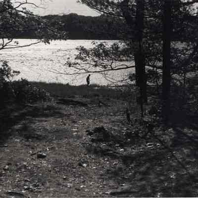 Middle Bay Cove