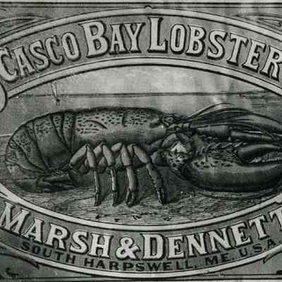 Casco Bay Lobster Can