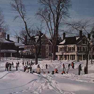 A photo of skaters on the Mall.