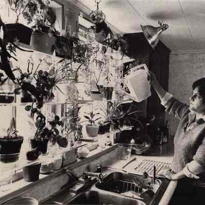 A photo view of Elizabeth Bailey. 3/2/1981.