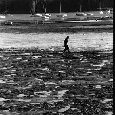 A photo view of a clammer on Middle Bay. 9/30/1988.