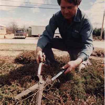 A photo view of a workmen trimming some grass. 5/11/1989.