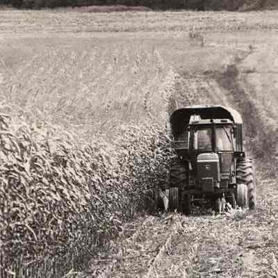 A photo view of a farmer working in a field in Topsham. 10/6/1992.