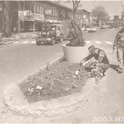 Two Men Planting Flowers in a Traffic Island