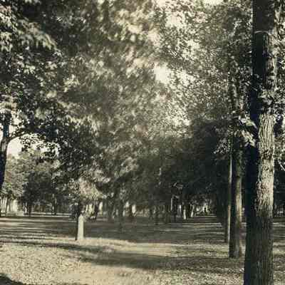 Bowdoin College campus