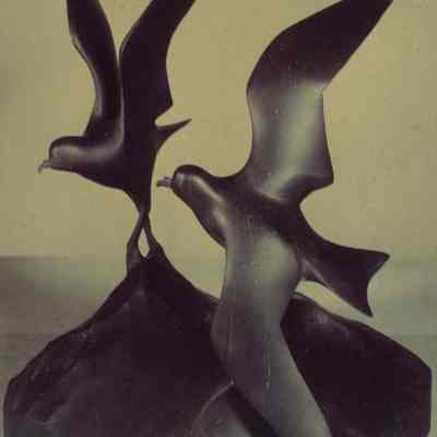 Sculpture of Two Leach's Petrel