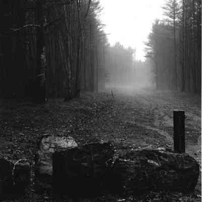 View from Harpswell Road