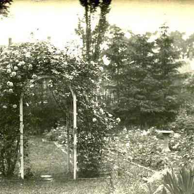 Garden at 9 Everett Street