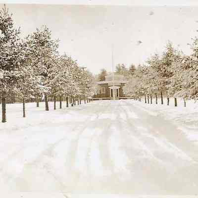 Driveway of the Pine Spring Water Company Plant in Winter