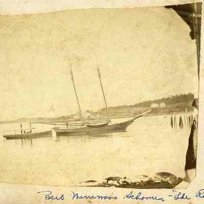 Schooner The Railroad