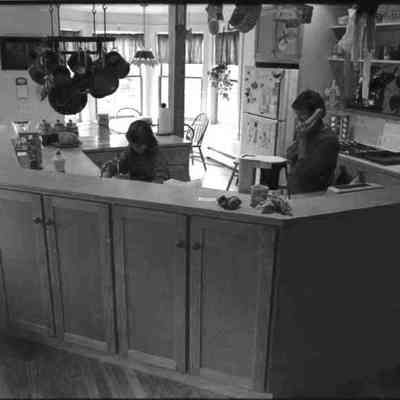 A photo view of Dr. Skillings' kitchen. 8/25/1988.