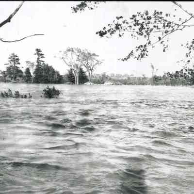 A photo of the flooding from Hurricane Edna. 9/12/1954.