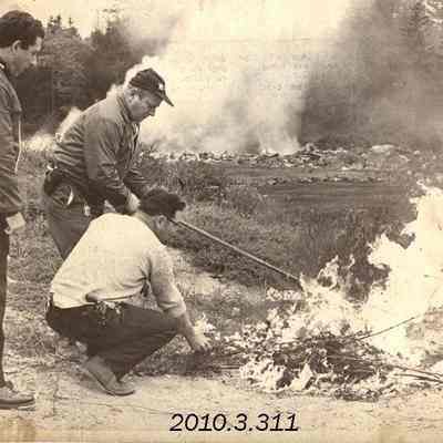 Police Burning Marijuana Plants
