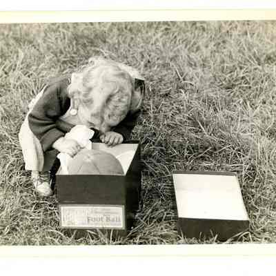 Anne Crimmins