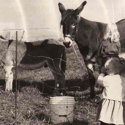 A photo view of children in a petting zoo. 10/9/1992.