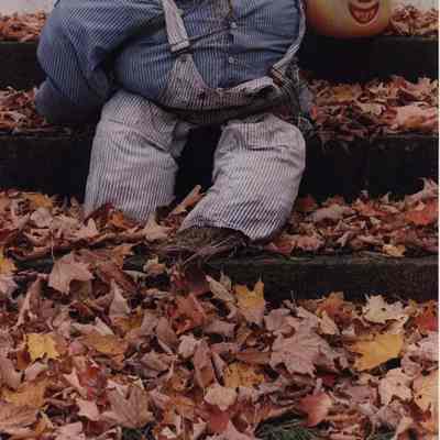 A photo view of a scarecrow with no head.