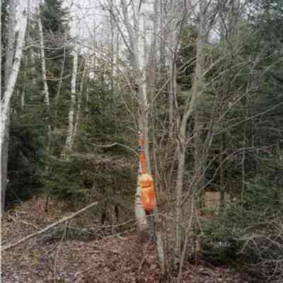Buoy in Wooded Area on the Side of Route 123 in Protest of Liquified Natural Gas
