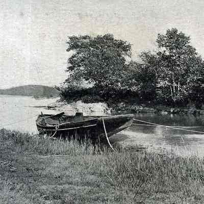 Card's Cove
