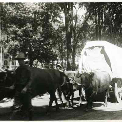 Stagecoach at the Brunswick Bicentennial Parade